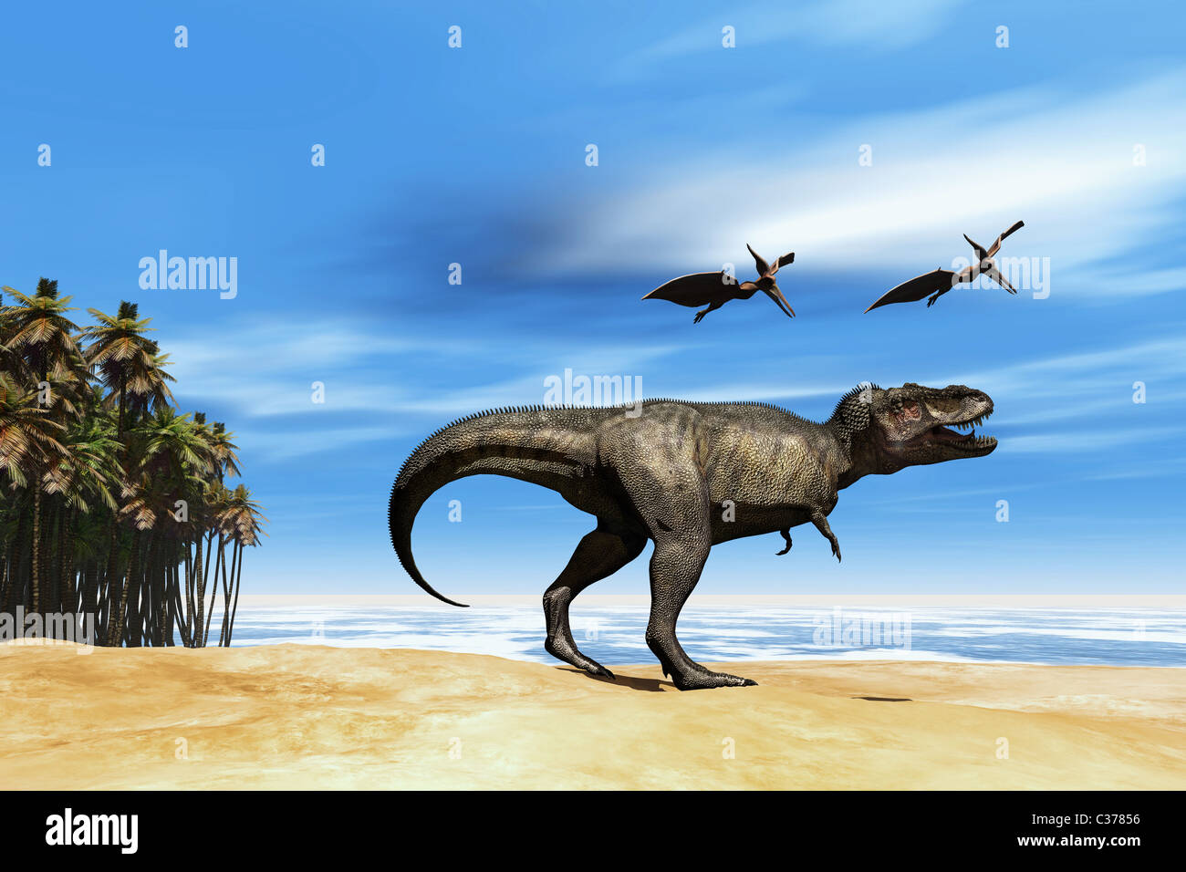 Due Pterodactyl dinosauri volanti sorvolare bestiale Tyrannosaurus Rex in riva al mare in epoca preistorica. Foto Stock