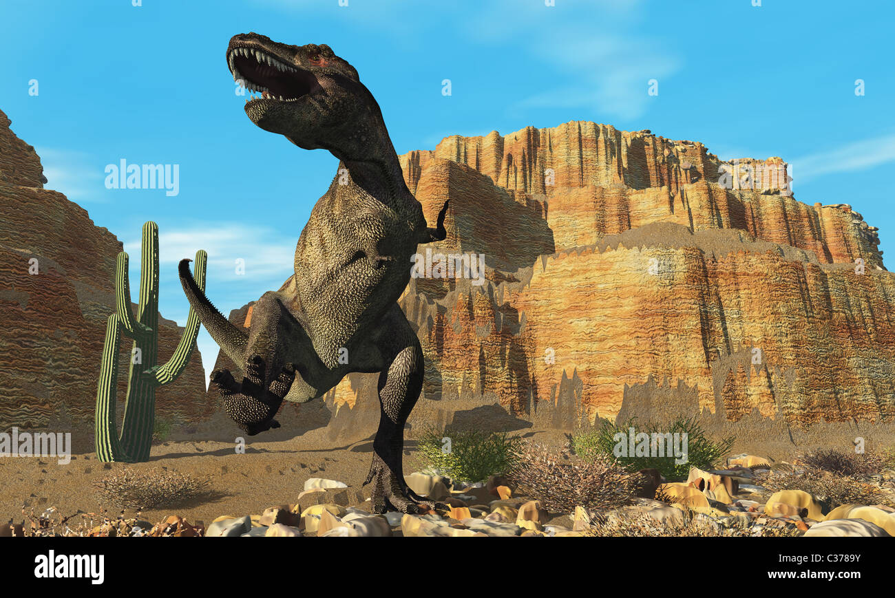 Un T-Rex ruggisce la sua sfida a tutti gli altri dinosauri nel suo territorio. Foto Stock