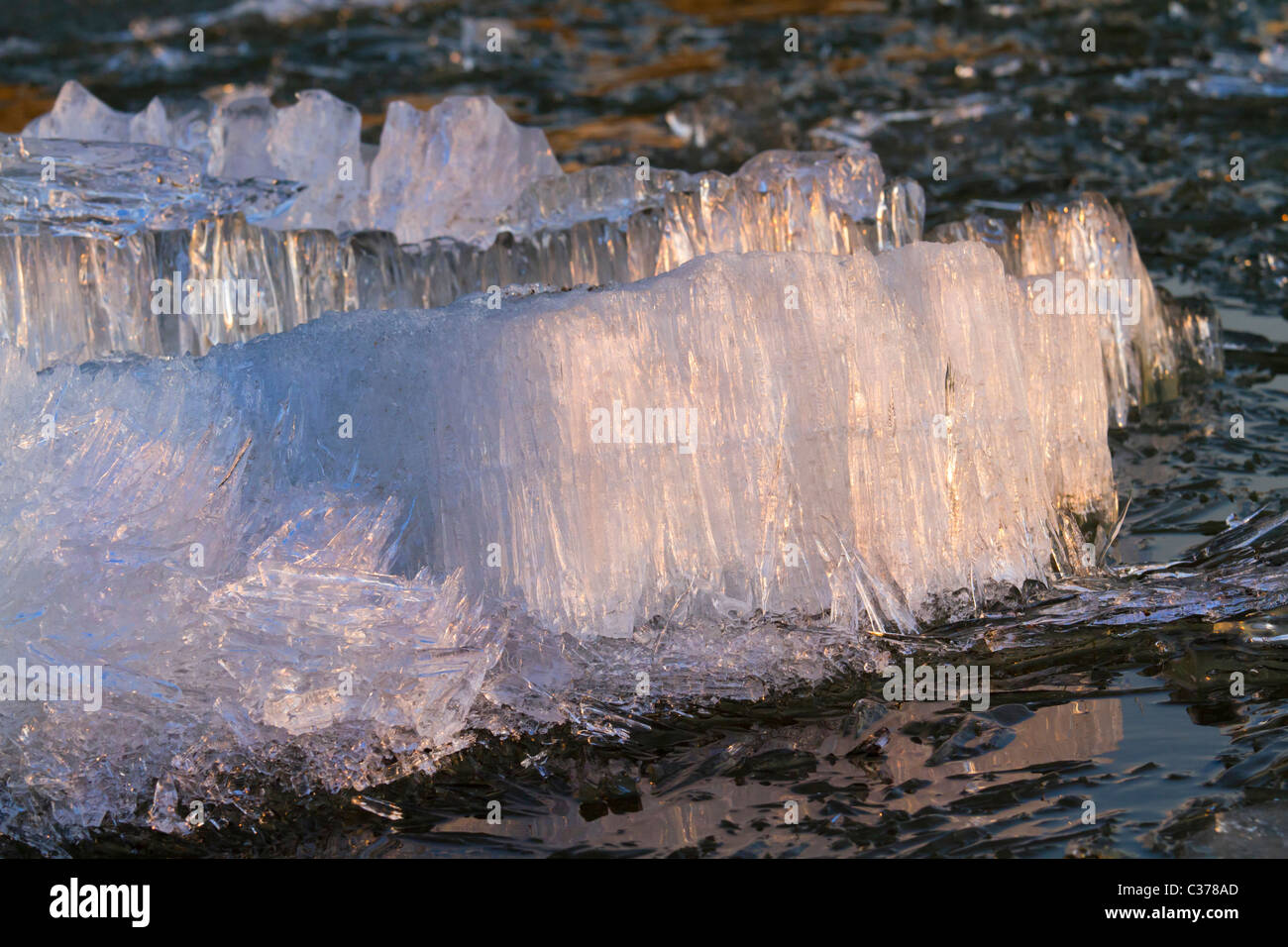 La deriva di ghiaccio sul fiume siberiano Irtysh sotto il tramonto Foto Stock