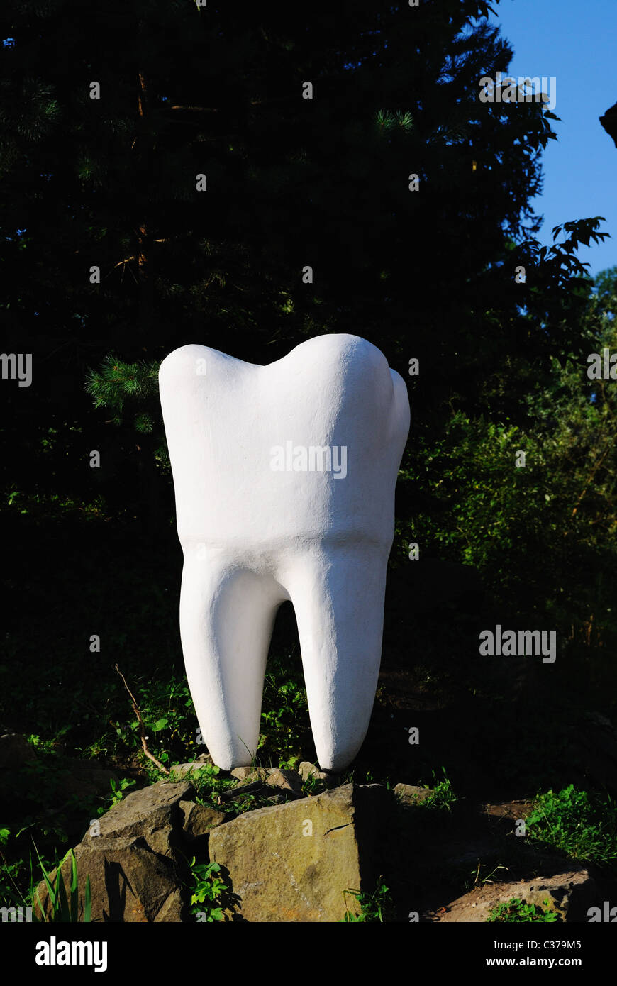 Un monumento di dente umano in Truskavets, Ucraina Foto Stock