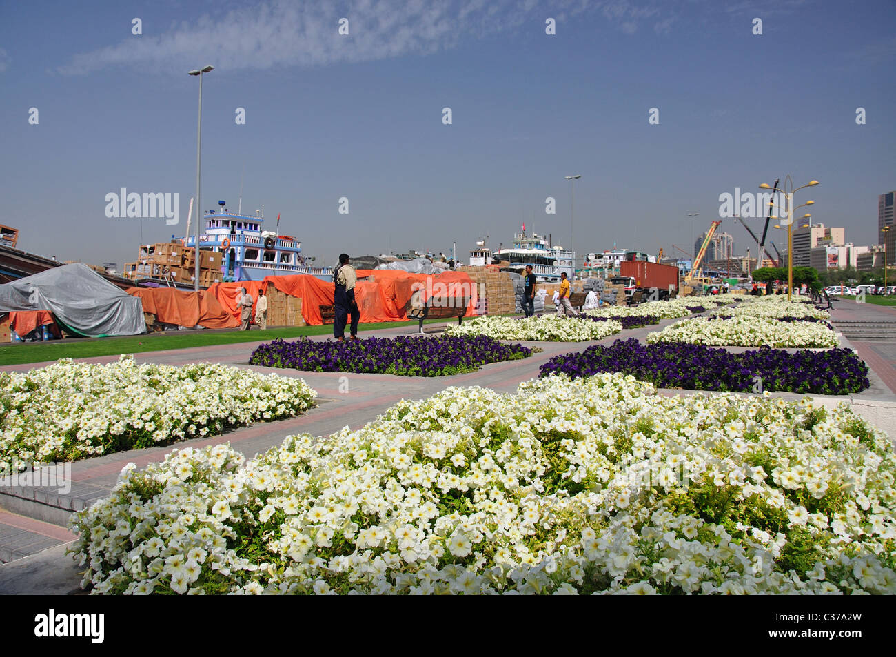 Passeggiata floreale da Dubai Creek, Deira, Dubai, Emirati Arabi Uniti Foto Stock