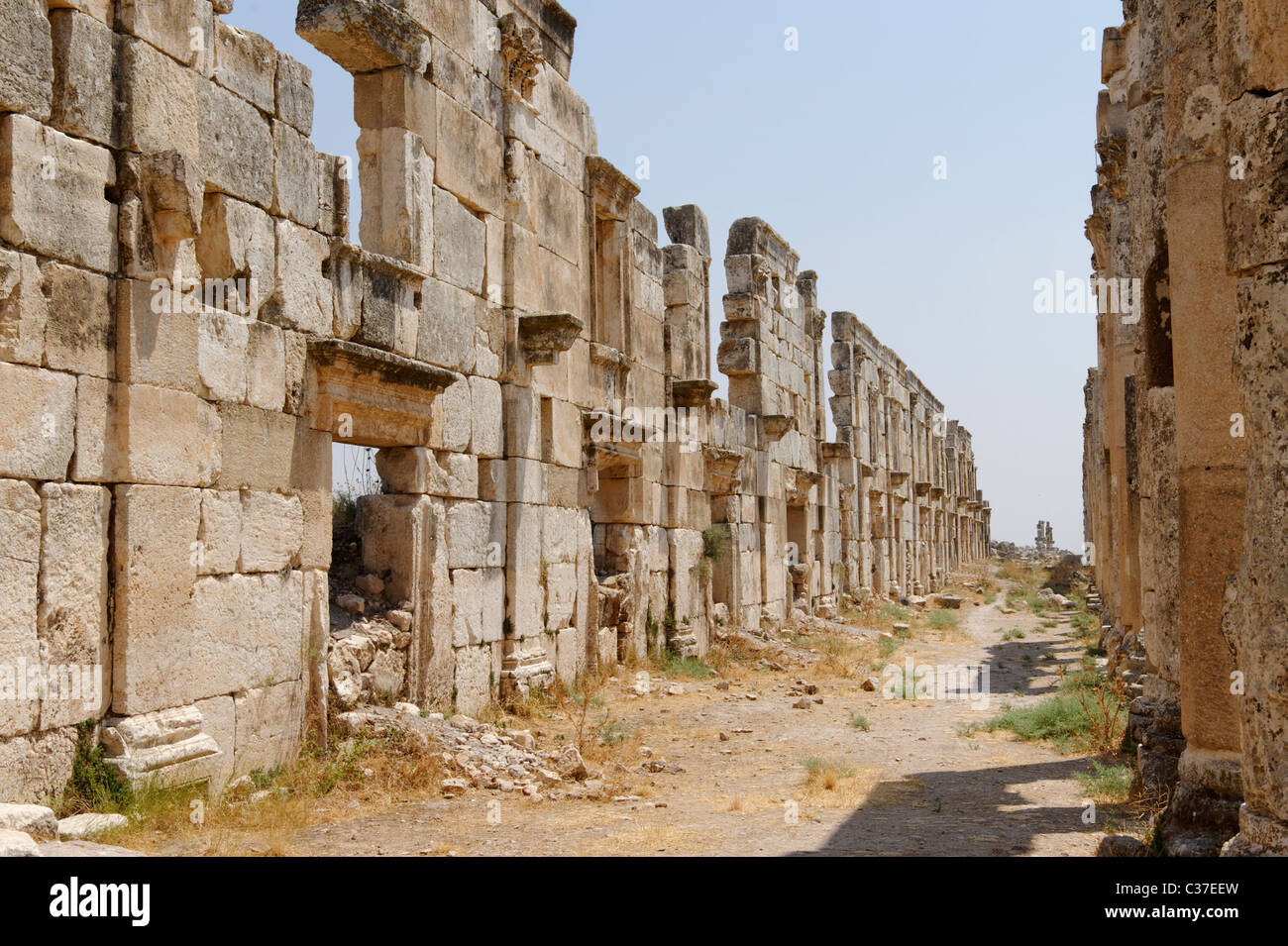 Maestoso colonnato Street della città antica di Apamea con facciate dei negozi dietro le colonne. Foto Stock