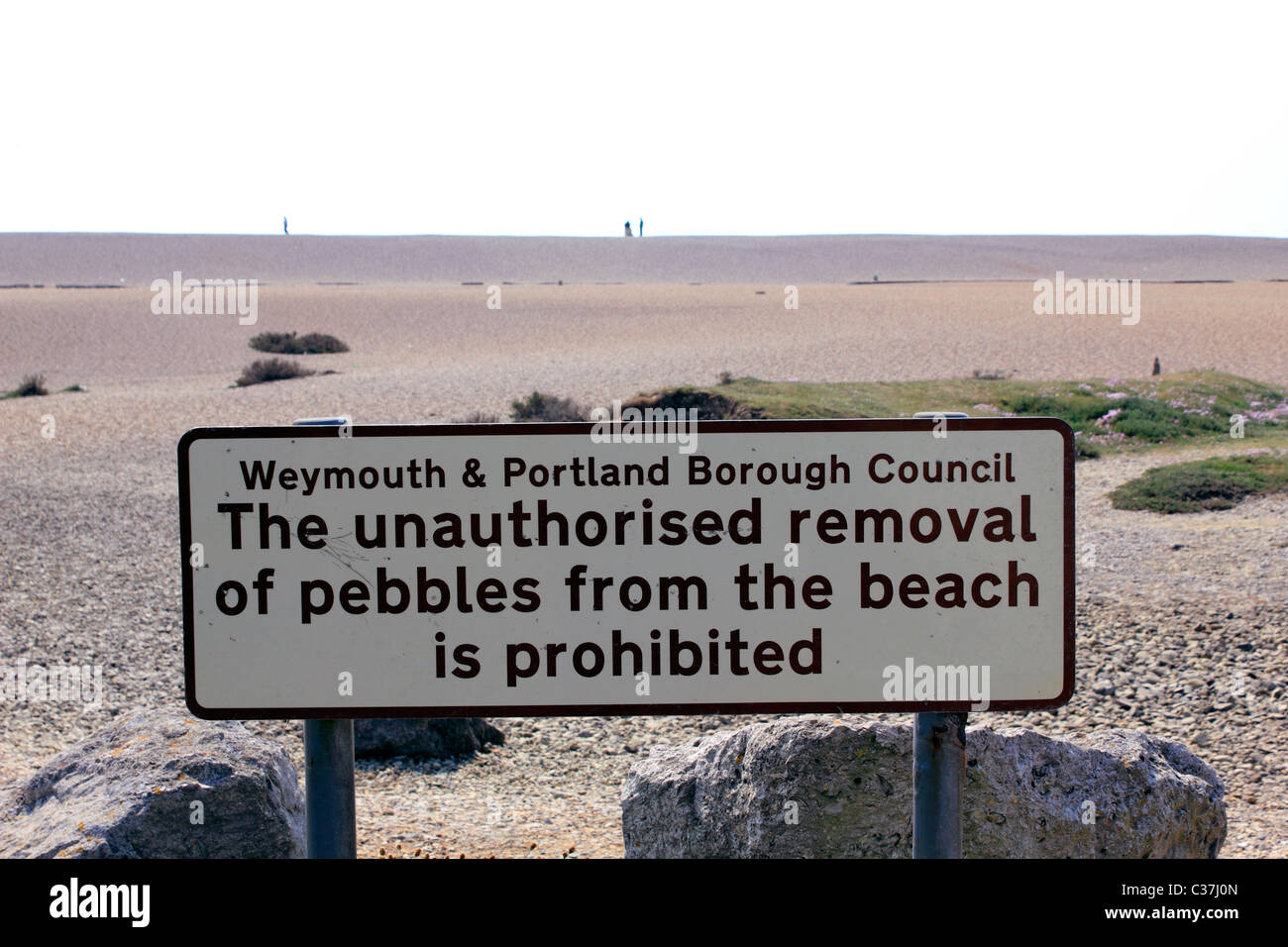 Chesil Beach Weymouth Dorset England Regno Unito Foto Stock