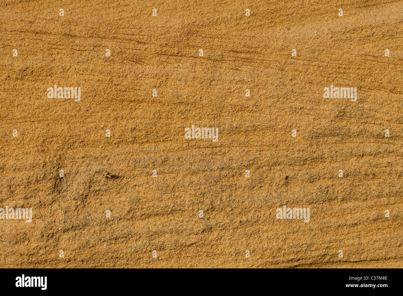 Un profondo arenaria marrone consistenza ideale per uno sfondo Foto Stock