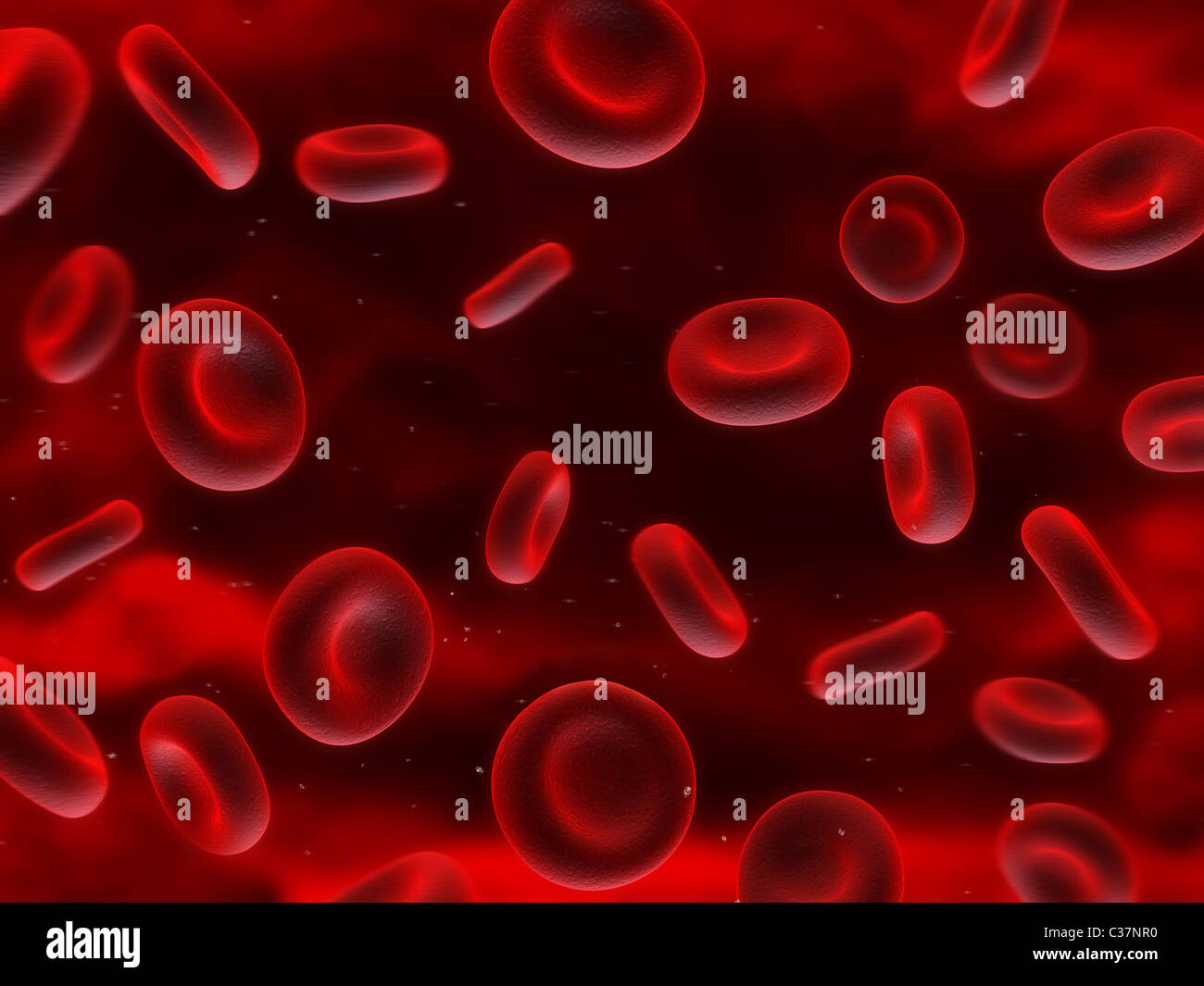 sangue in streaming Foto Stock