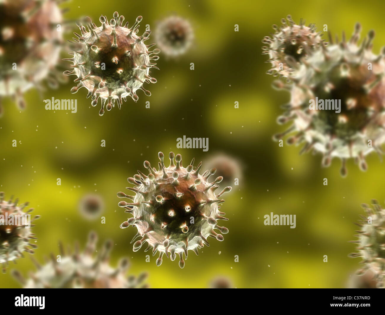 virus H1N1 Foto Stock