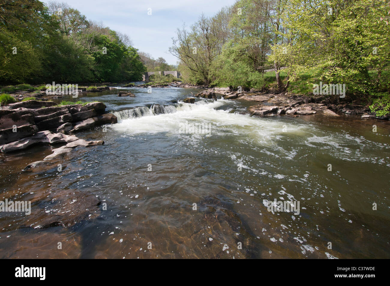 Una piccola cascata sul fiume Usk a ponte Llangynidr Foto Stock