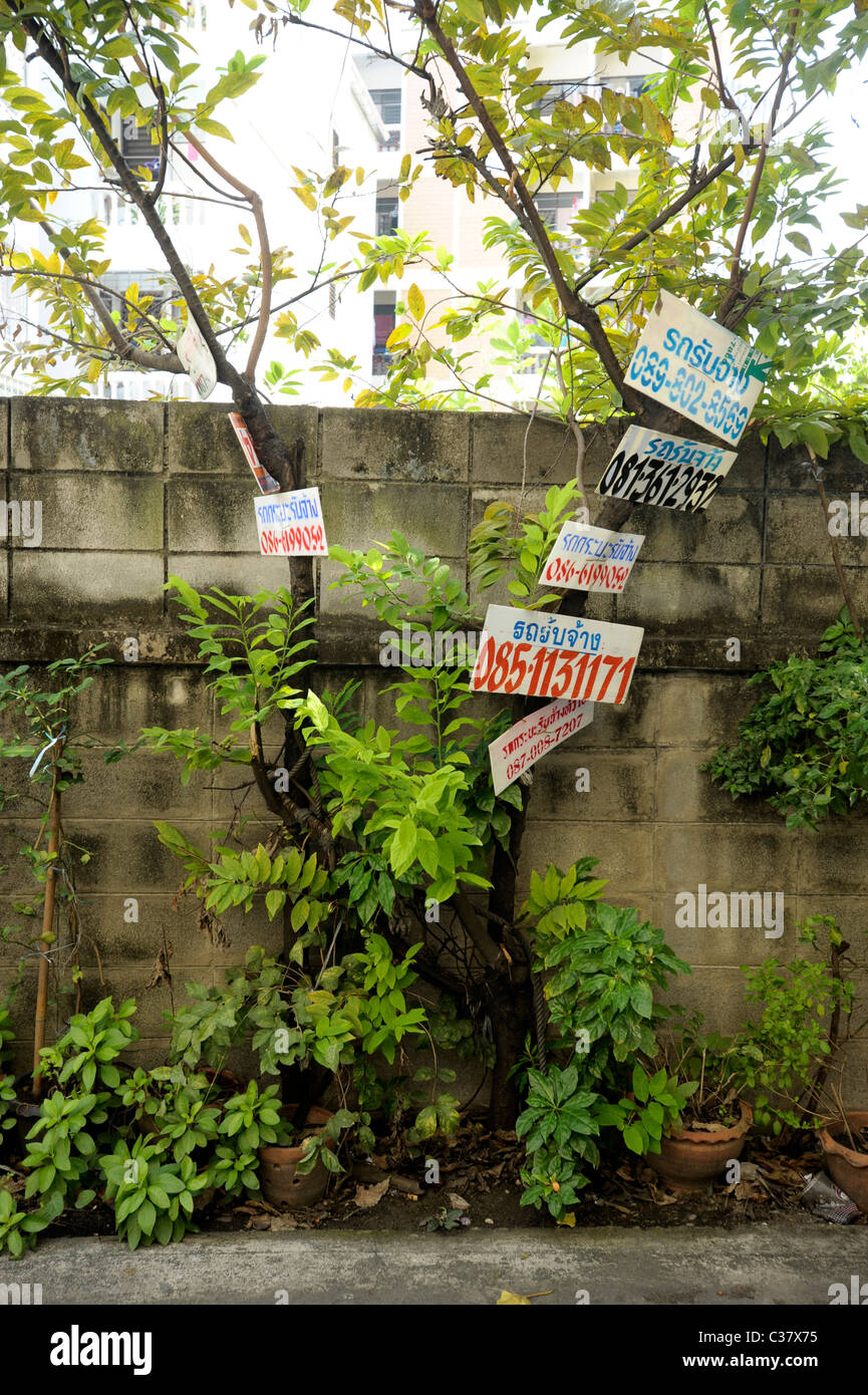 Albero in Bangkok utilizzati per pubblicizzare le proprietà in vendita o in affitto , bangkok, Thailandia Foto Stock