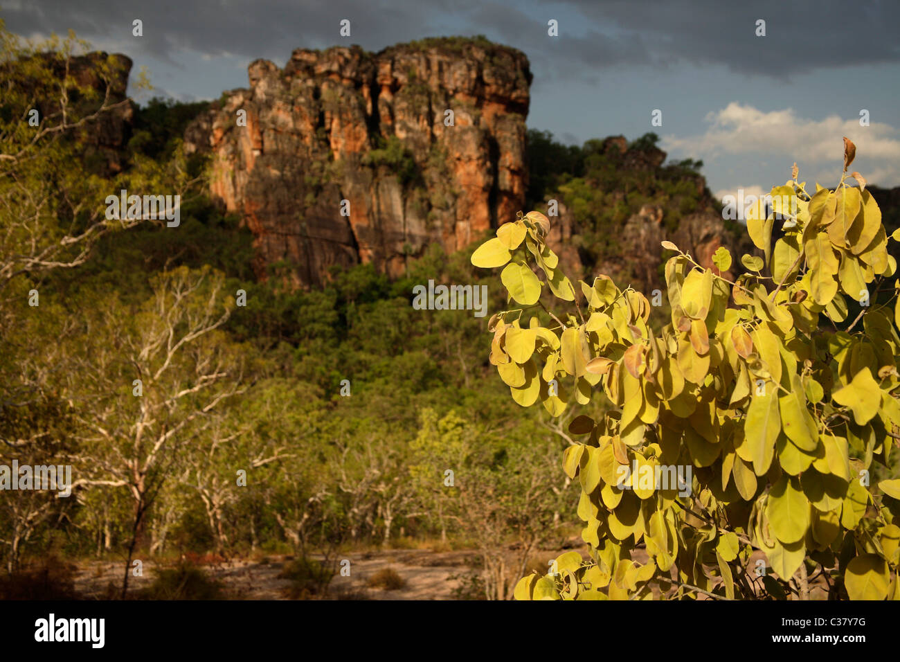 Nourlangie Rock a Kakadu Nationalpark vicino a Darwin Territorio del Nord, l'Australia Foto Stock