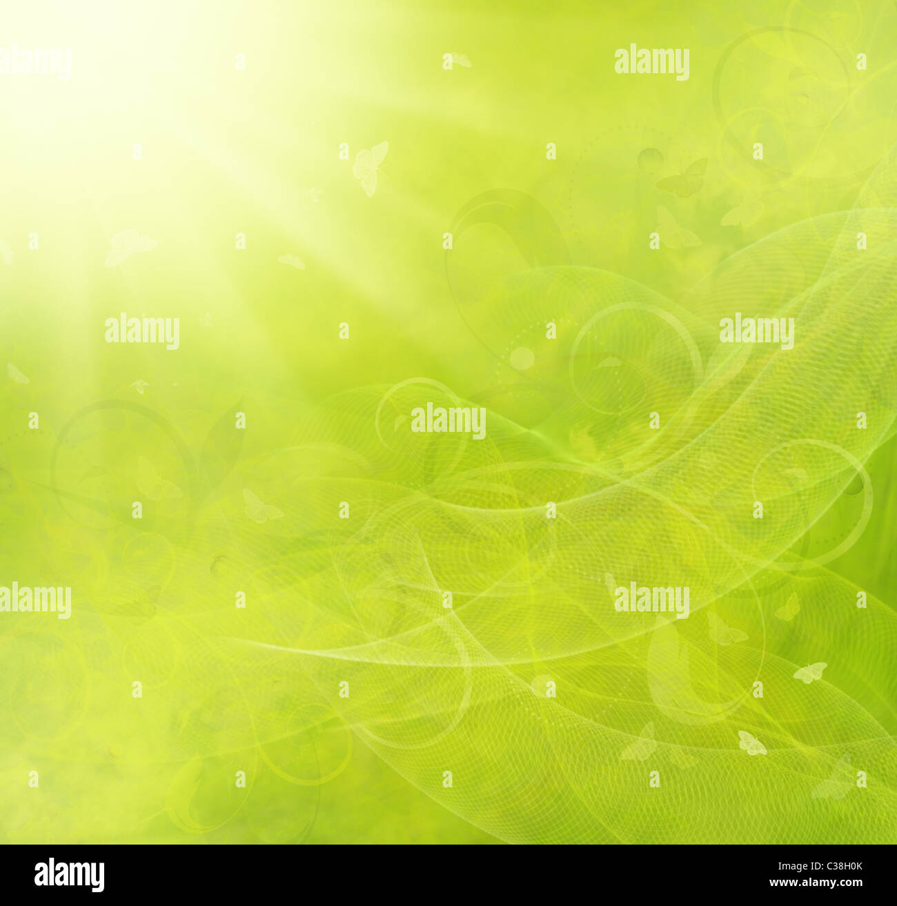 Estate sfondo raster con ornati, raggi solari e butterfly Foto Stock