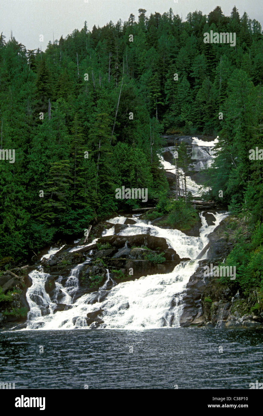 Butedate cade in Butedale una città fantasma sulla Princess Royal Island a Kitimat a Stikine lungo il passaggio interno in British Columbia Provincia del Canada Foto Stock