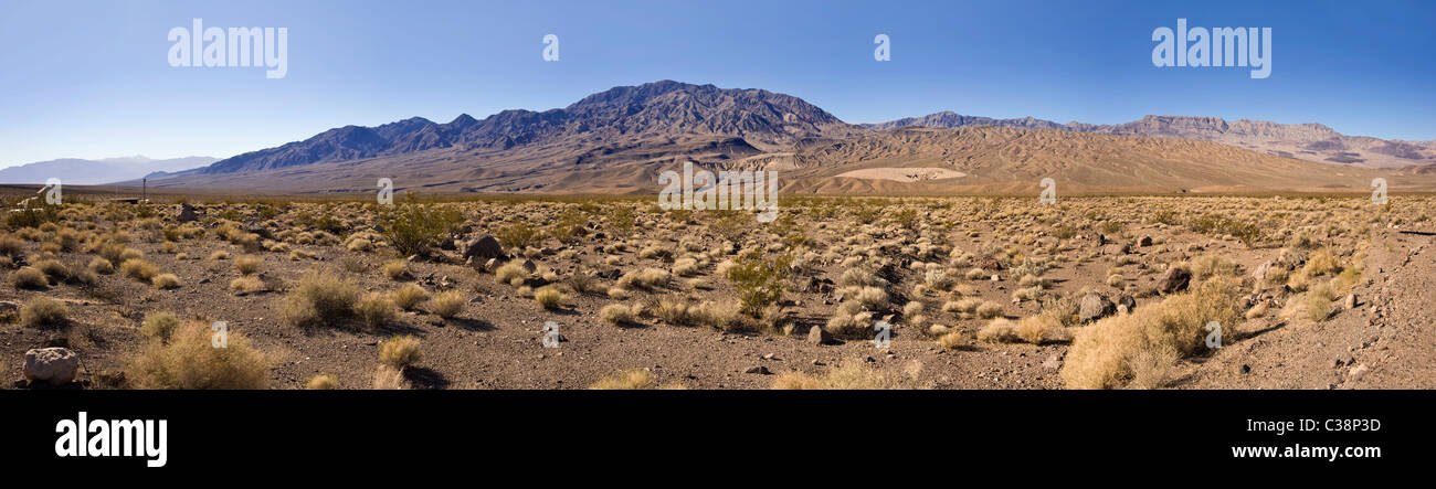 Parco Nazionale della Valle della Morte, STATI UNITI D'AMERICA Foto Stock