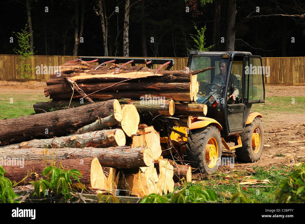 Alberi abbattuti sono cancellati dai macchinari di impianto pronto a girare ex bosco per un nuovo uso. Foto Stock