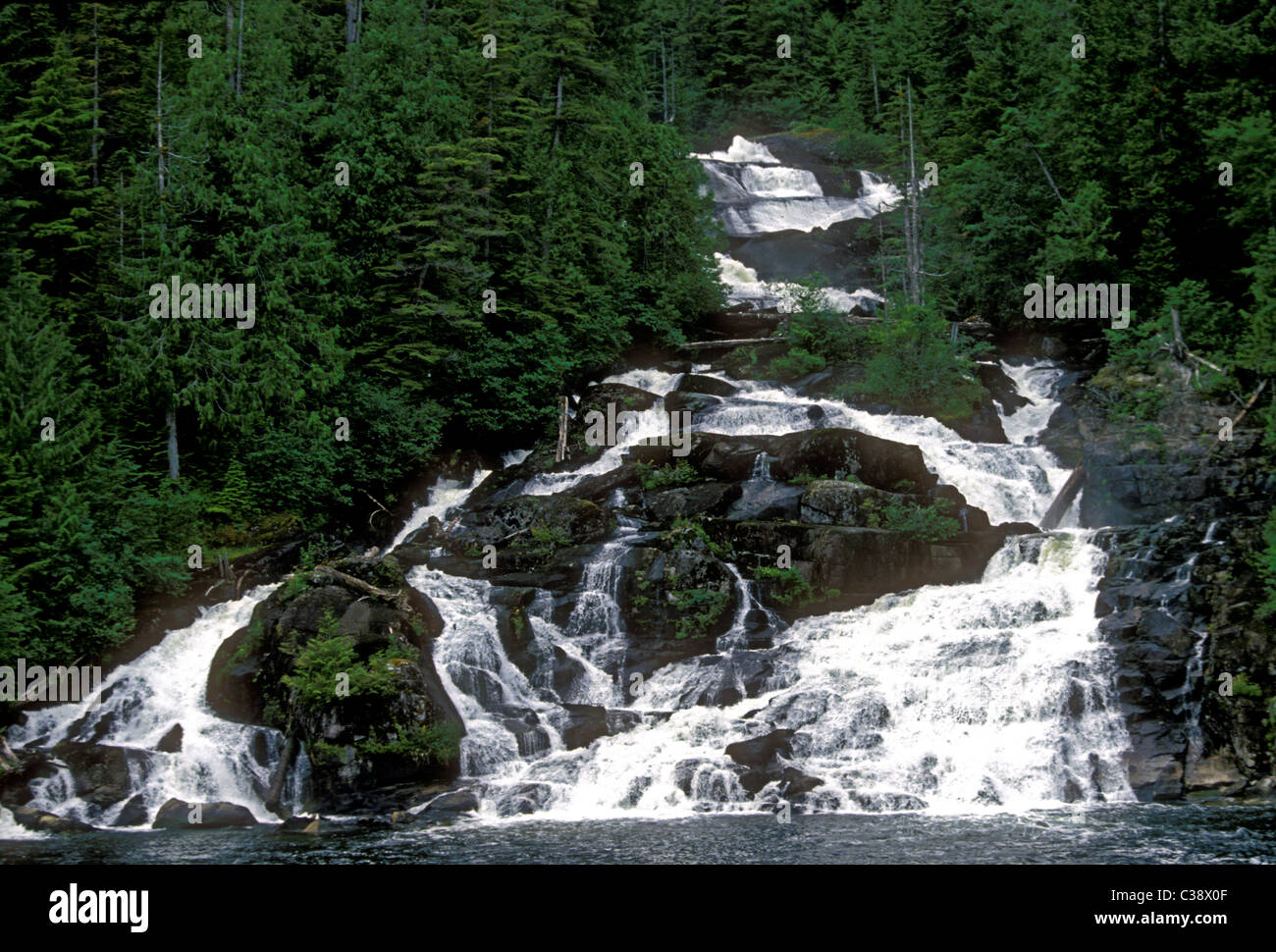 Butedate cade in Butedale una città fantasma sulla Princess Royal Island a Kitimat a Stikine lungo il passaggio interno in British Columbia Provincia del Canada Foto Stock