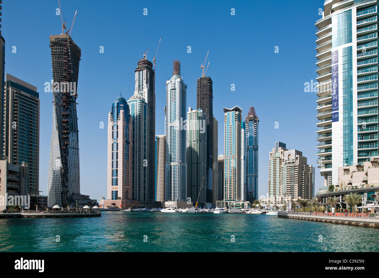 Dubia Foto Stock