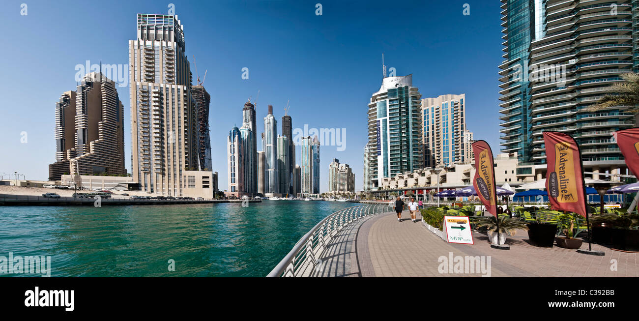 Dubia Foto Stock