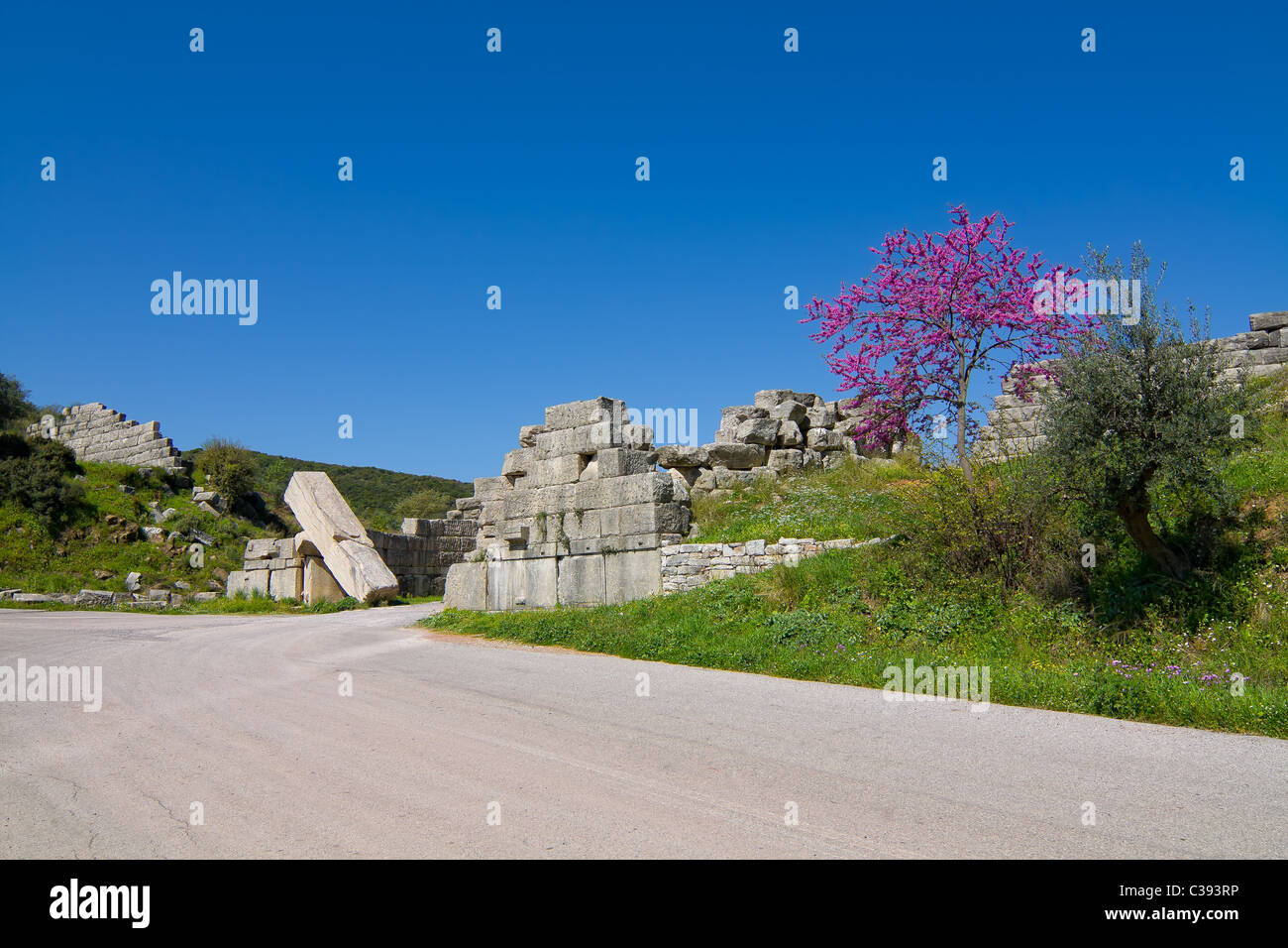 Il Gate arcadica rovine di antiche Messini, Grecia Foto Stock