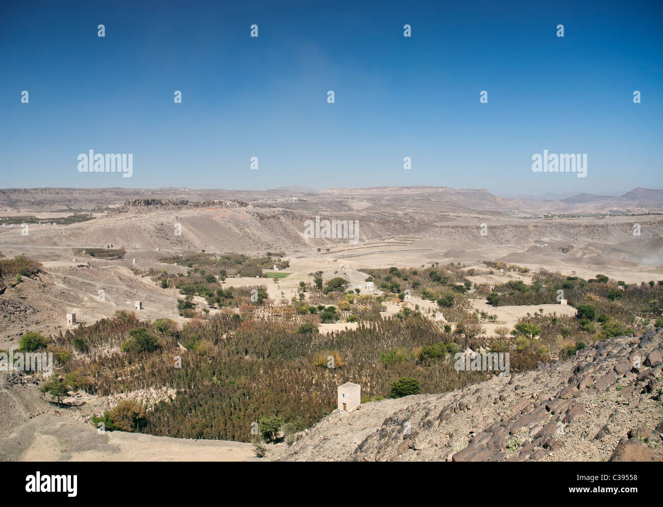 Yemen arido paesaggio vicino sanaa con khat piantagioni Foto Stock