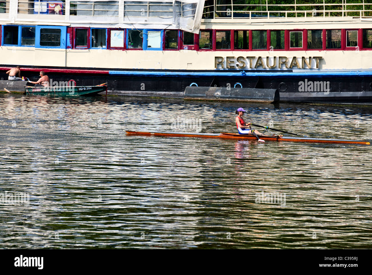 Giovane donna singolo skiff canottaggio sul fiume Neckar, Heidelberg Foto Stock
