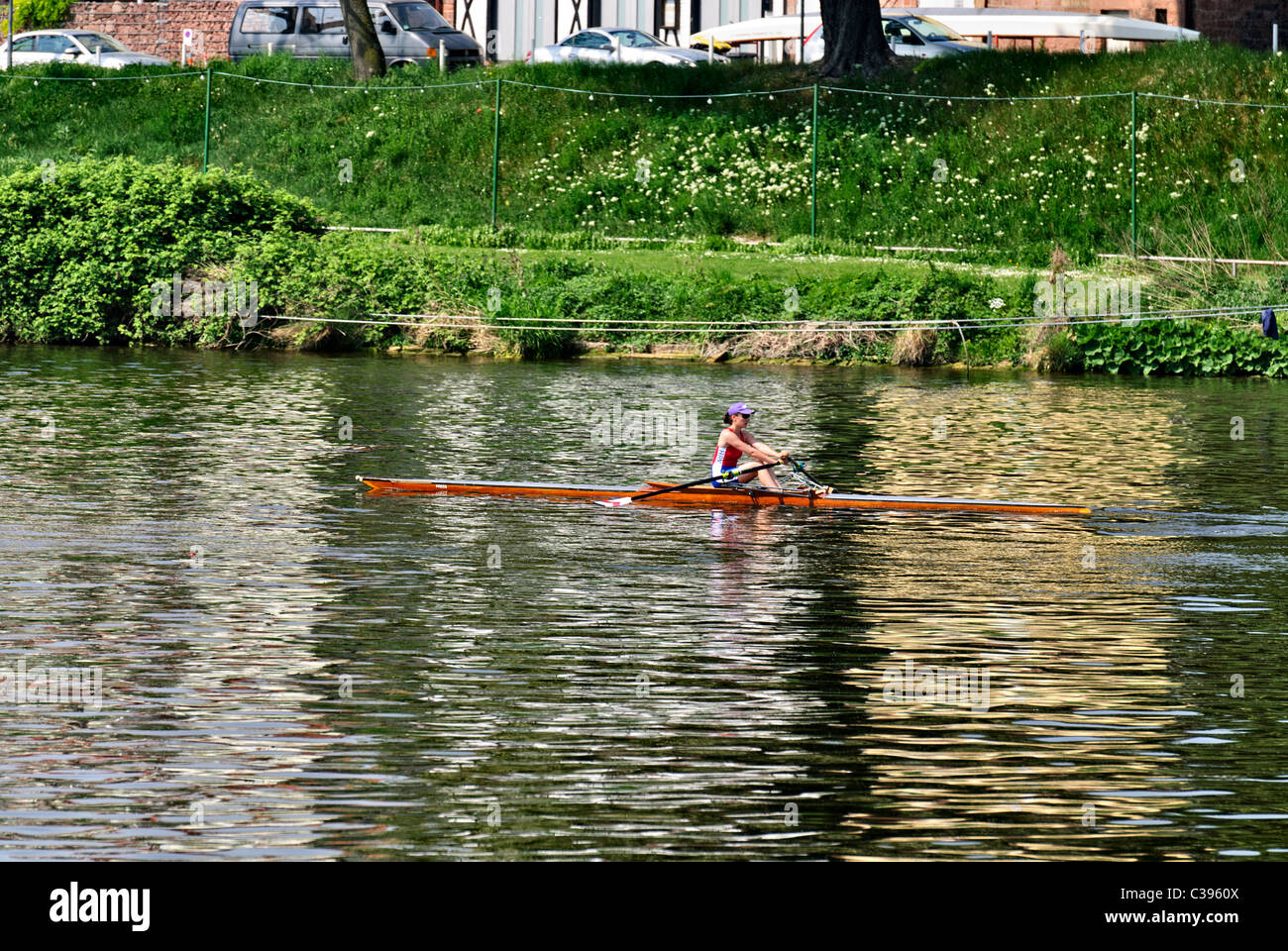Giovane donna singolo skiff canottaggio sul fiume Neckar, Heidelberg Foto Stock