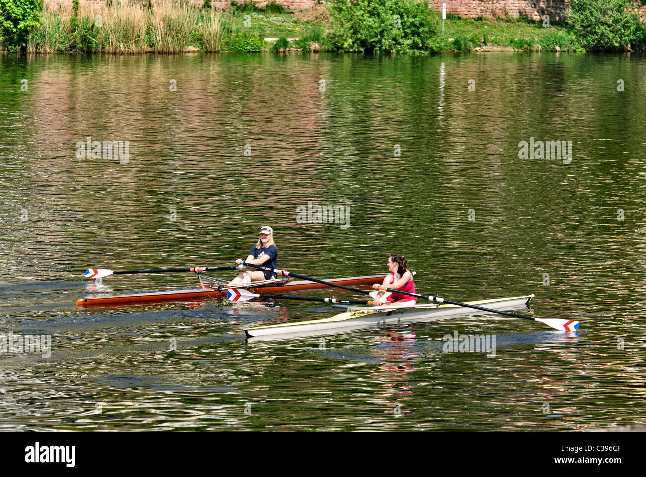 Due giovani donna singolo skiff canottaggio sul fiume Neckar, Heidelberg, Foto Stock