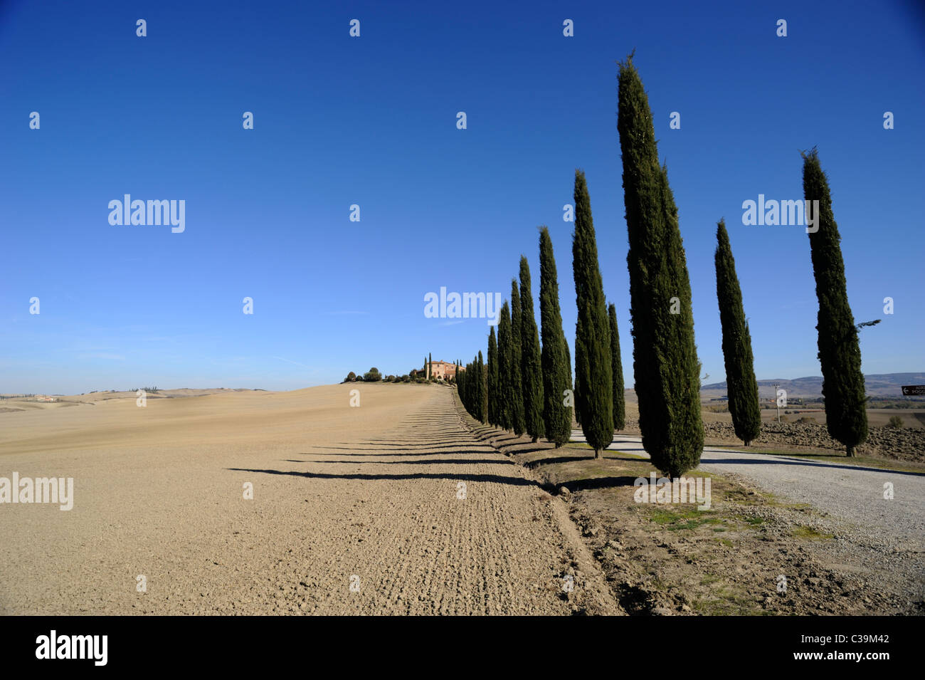 Italia, Toscana, Val d'Orcia, Agriturismo Poggio Covili Foto Stock