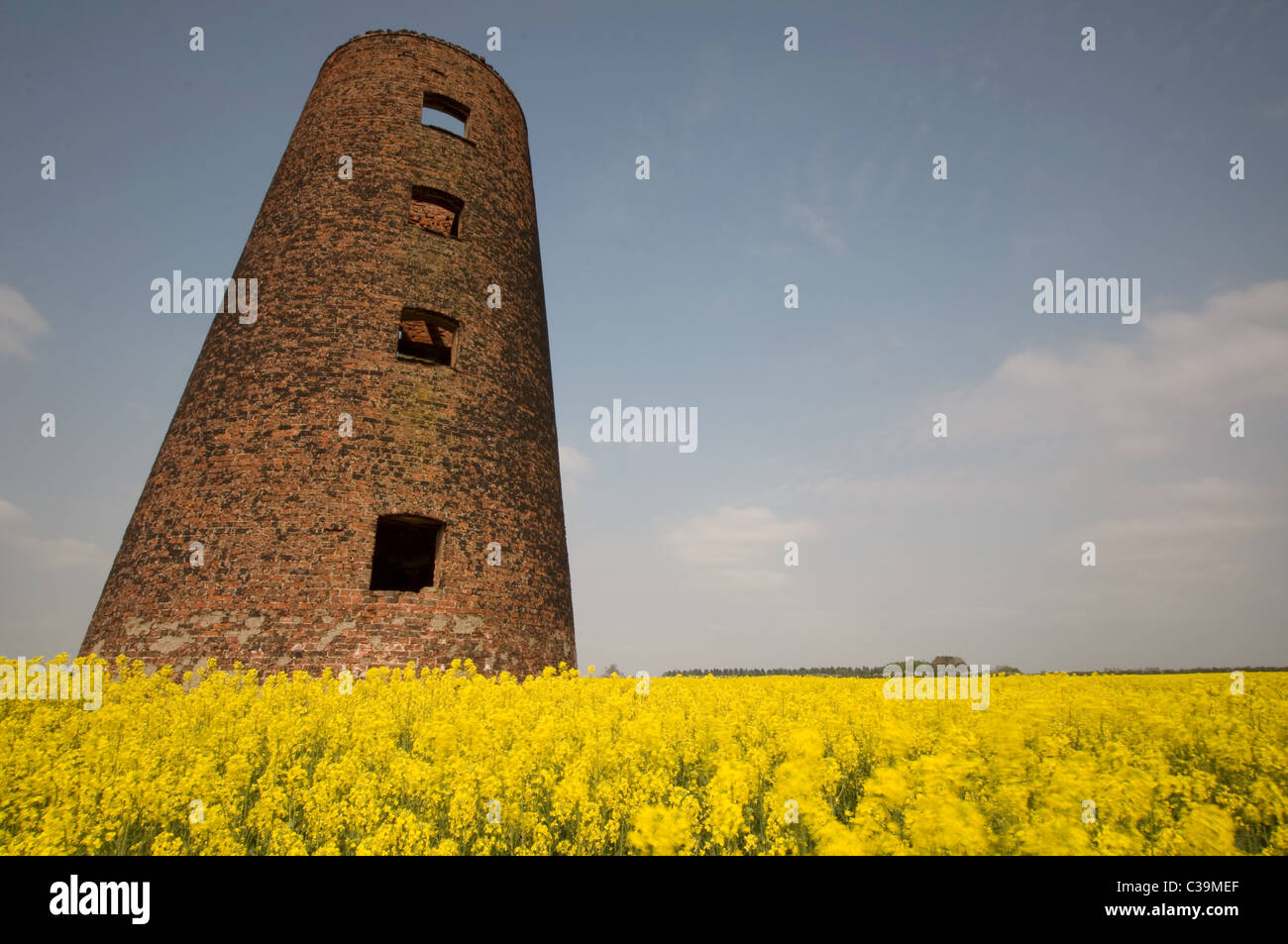 Vecchio Mulino a Vento abbandonati in piedi in un campo di colza in Yorkshire Foto Stock