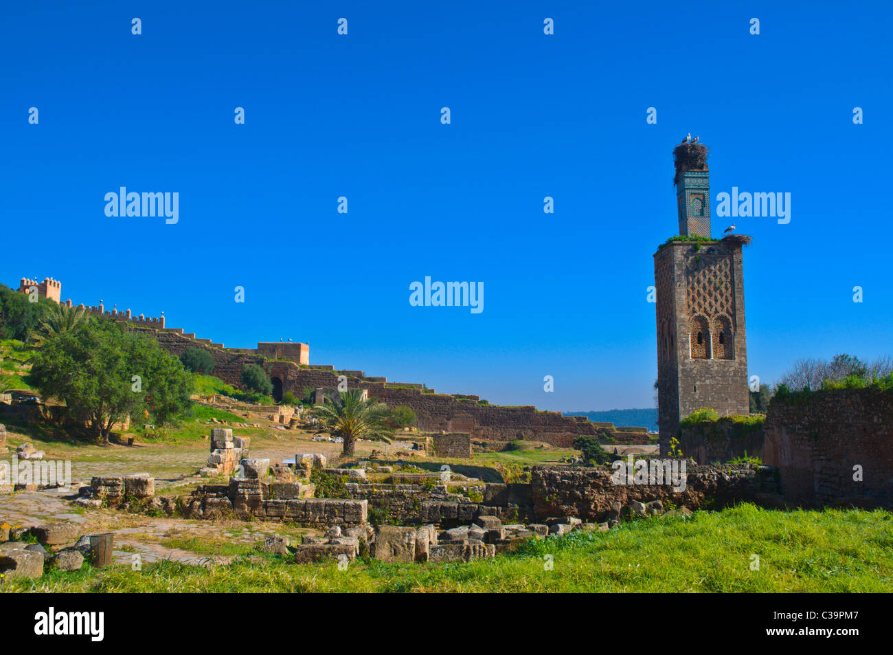 Chellah la necropoli Rabat capitale del Marocco Foto Stock