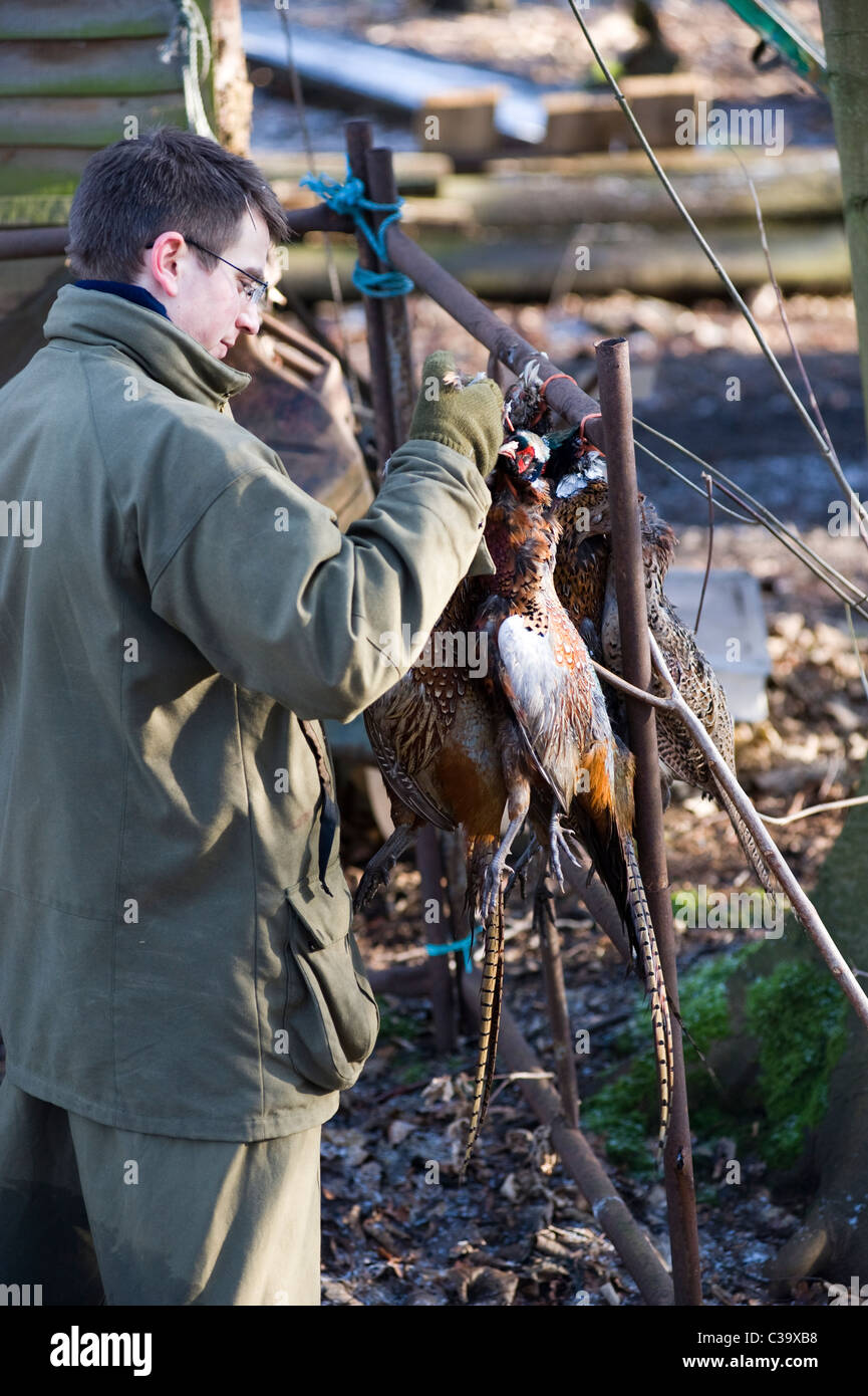 L'uomo hanging up shot fagiani Foto Stock