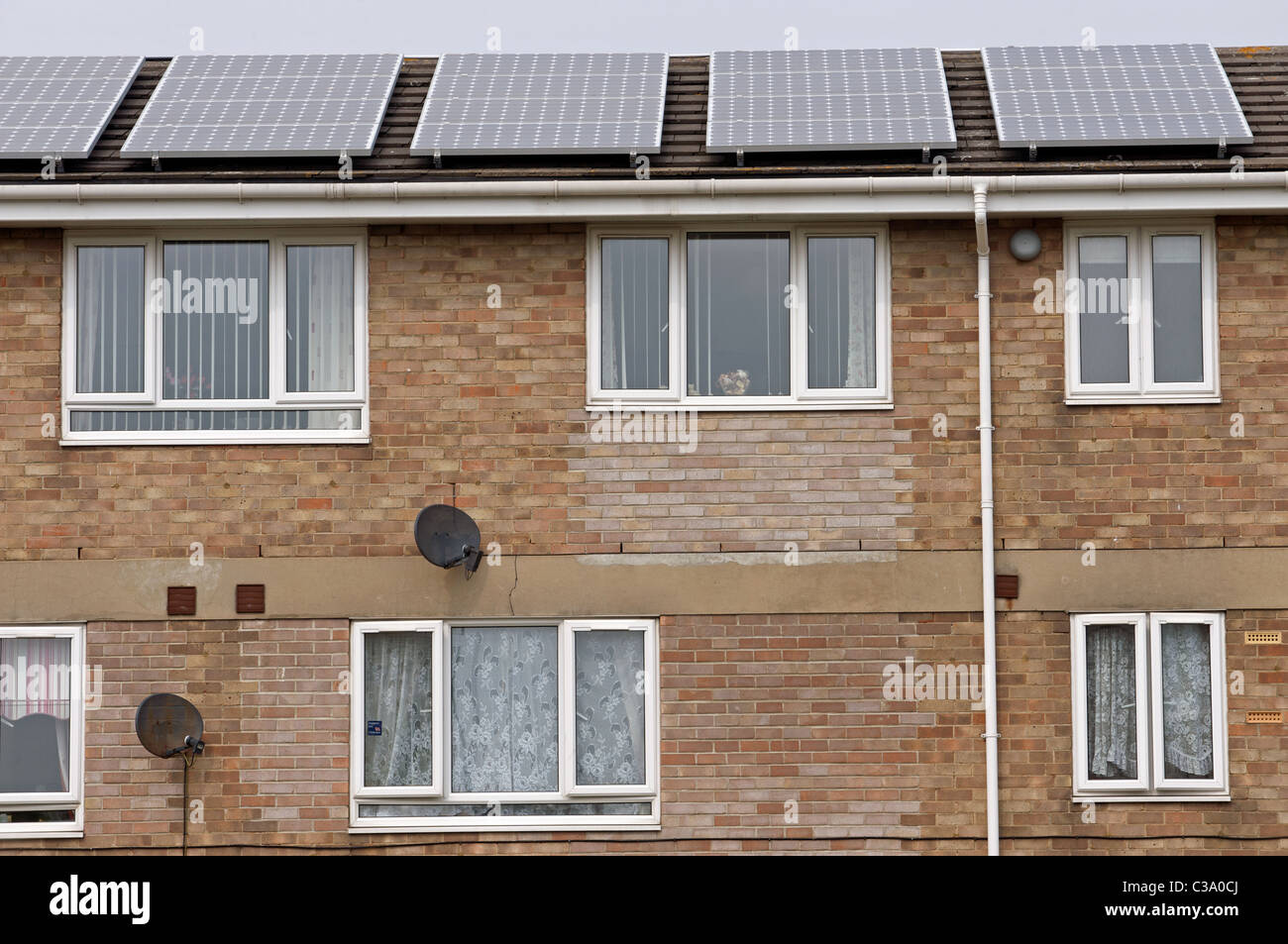Appartamenti con pannelli fotovoltaici, UK. Foto Stock
