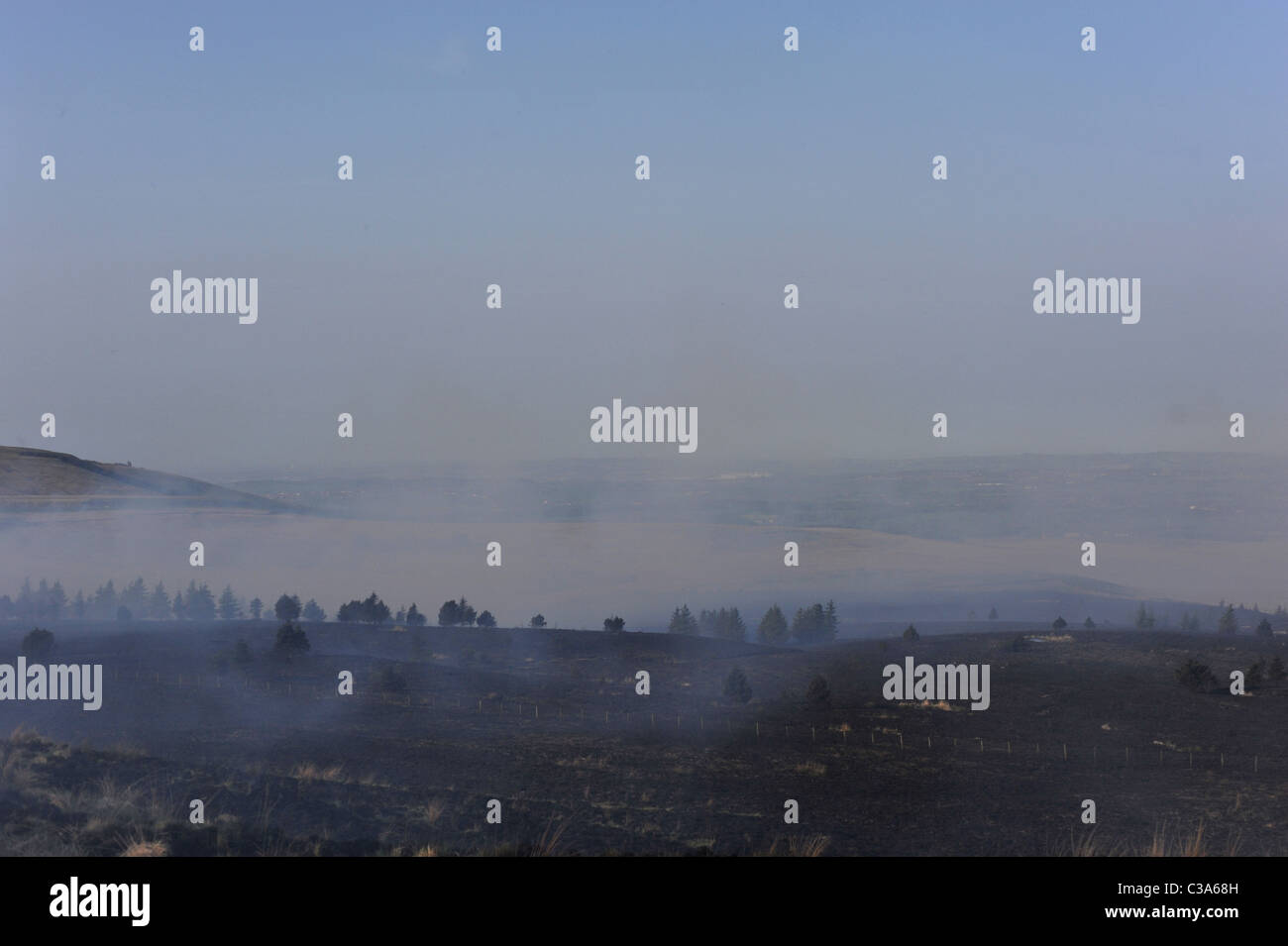 Vista del paesaggio di bruciò fuori fuoco d'erba con fumo ancora venuta fuori la soffiatura rimane sulla campagna Foto Stock