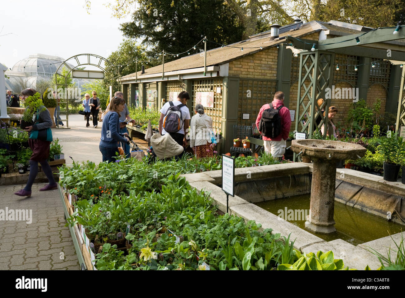 Plant Sales nel negozio: cliente / clienti & fiori / Fiori / display visualizza / impianti a Kew Botanic Gardens / Centro. Regno Unito Foto Stock