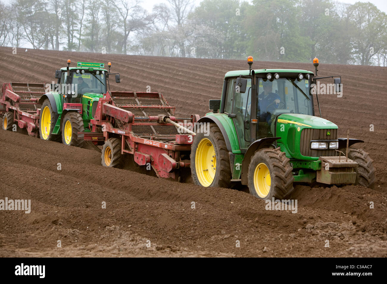 Preparazione del terreno per la coltura di patate semina Montrose Scozia Scotland Foto Stock