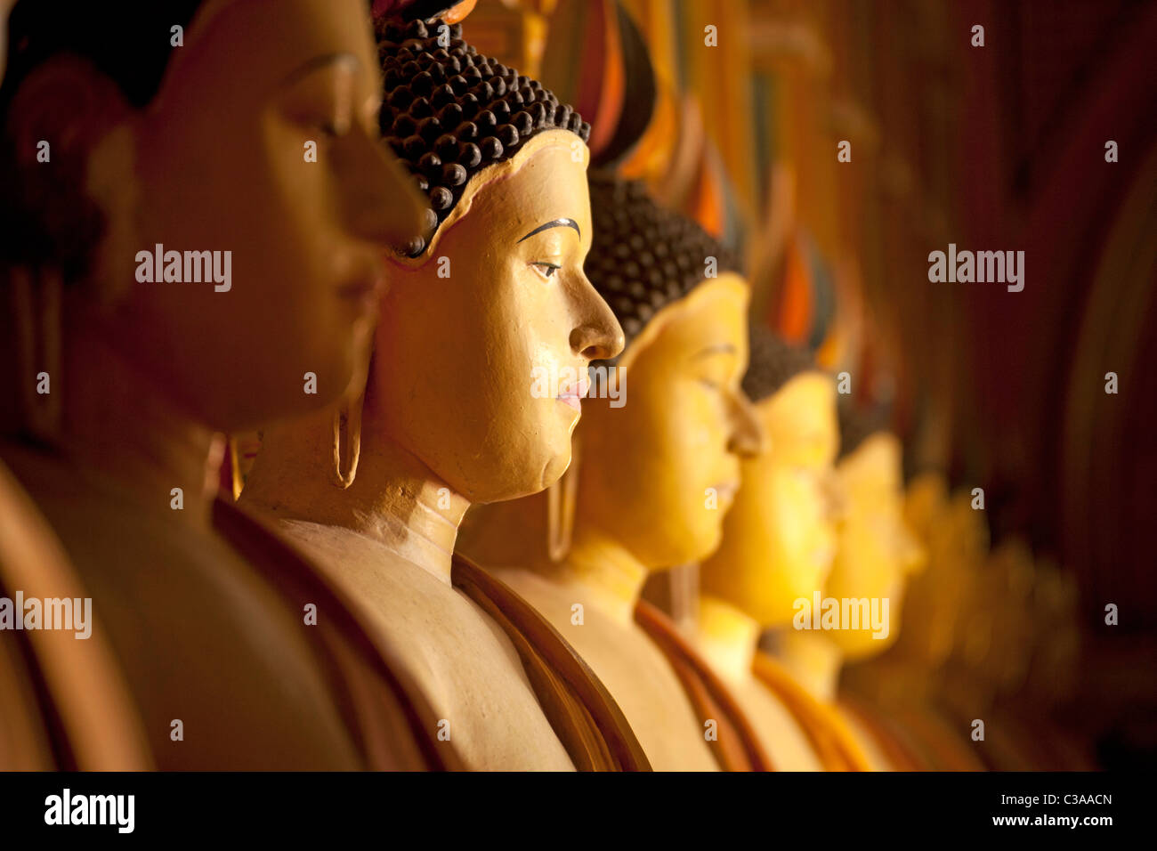 Gruppo di statue di Buddha in una fila all'interno di Wewurukannala Vihara tempio vicino Dikwella, Pussalagoda, Sri Lanka, Walasgala Foto Stock