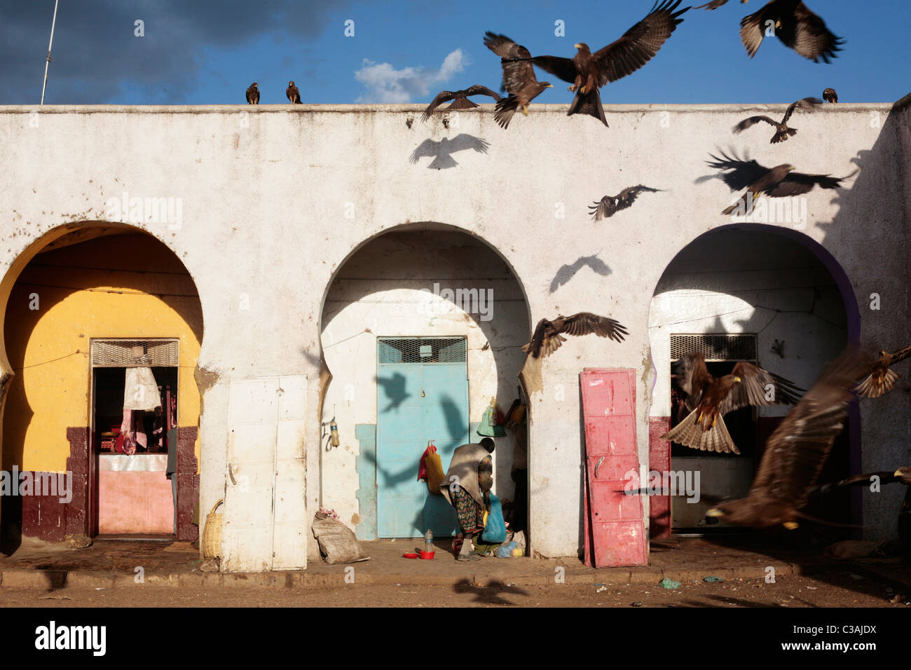 Nibbio all'Harar del mercato della carne in Etiopia orientale. Il wildbirds raccogliere attorno alla macellazione di area e sono alimentati su scarti. Foto Stock