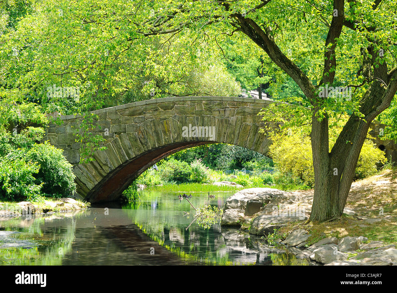 Gapstow Ponte sul laghetto di Central Park di New York City. Foto Stock