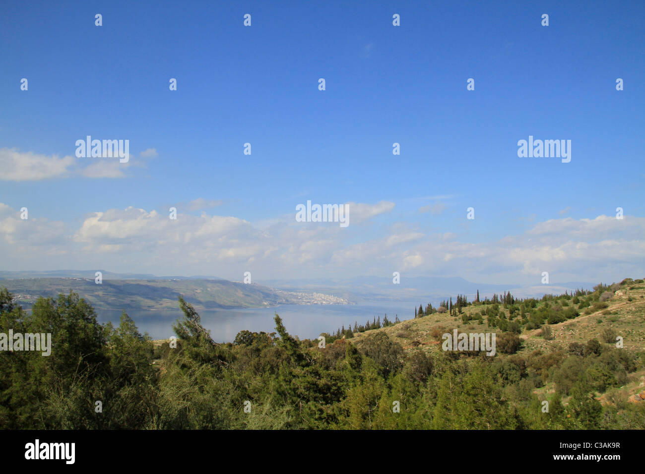 Alture del Golan, Mevo Hamma foresta che si affaccia sul mare di Galilea Foto Stock