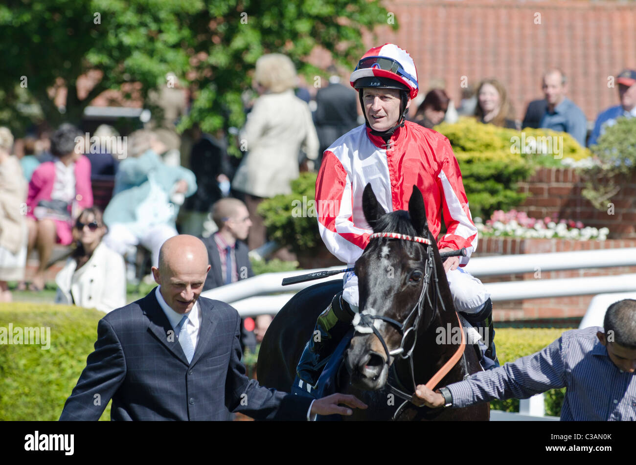 Mare di Heartbreak 2° in Qatar Bloodstock Dahlia Stakes 2011 jockey Steve Drowne in parade ring Newmarket race course Suffolk REGNO UNITO Foto Stock