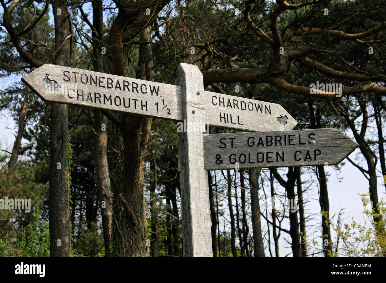 Segno di post che mostra le direzioni di Charmouth, Golden Cap, Stonebarrow, Chardown Hill e St Gabriel's, Dorset England Regno Unito Foto Stock