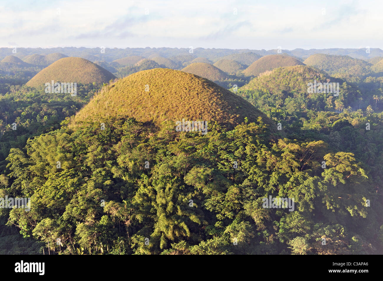 Le belle colline di cioccolato all'alba, Isola di Bohol, Filippine Foto Stock