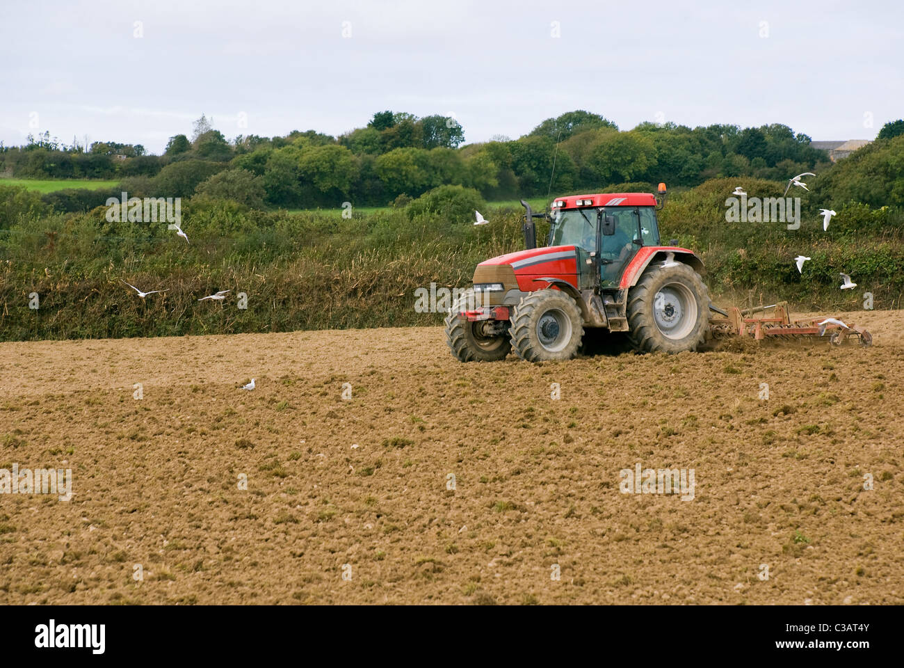 Trattore rosso nel campo. Cornovaglia, Inghilterra. Foto Stock