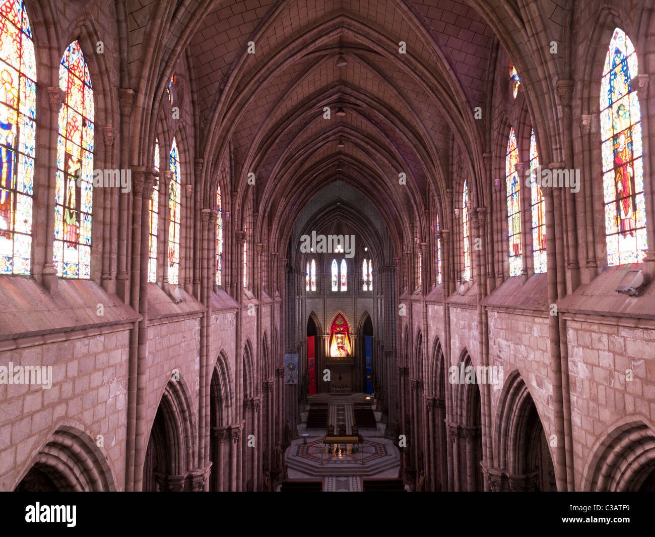 Vaulting navata della Basilica del Voto Nacional, Basilica del Voto Nazionale, Quito Ecuador Foto Stock