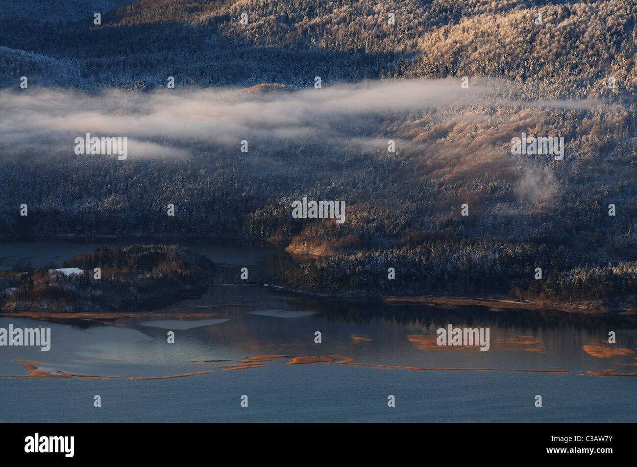 Nebbie su Lago di Cerknica Foto Stock
