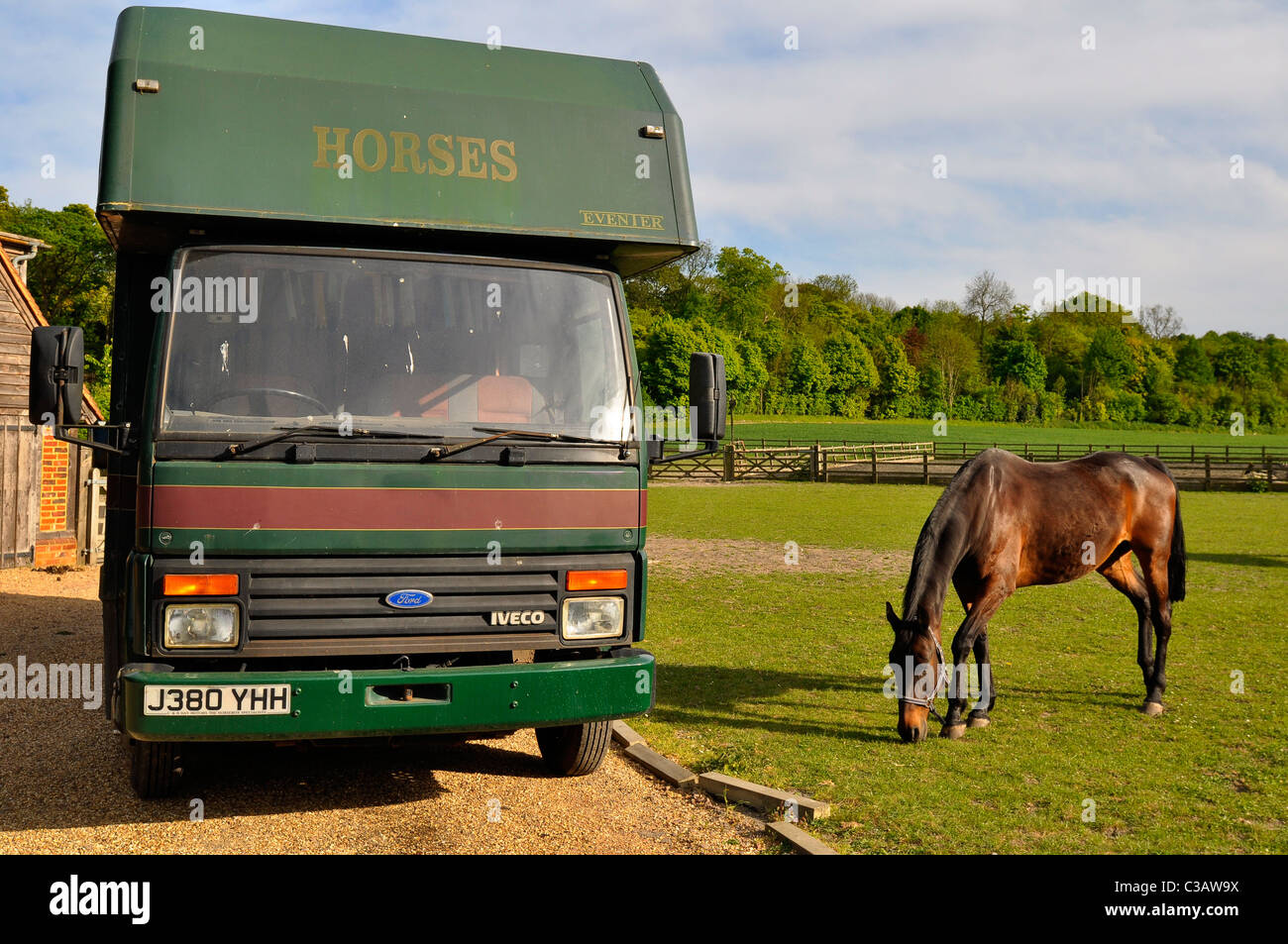 Una corsa di cavalli al pascolo accanto a un cavallo box carrello Foto Stock