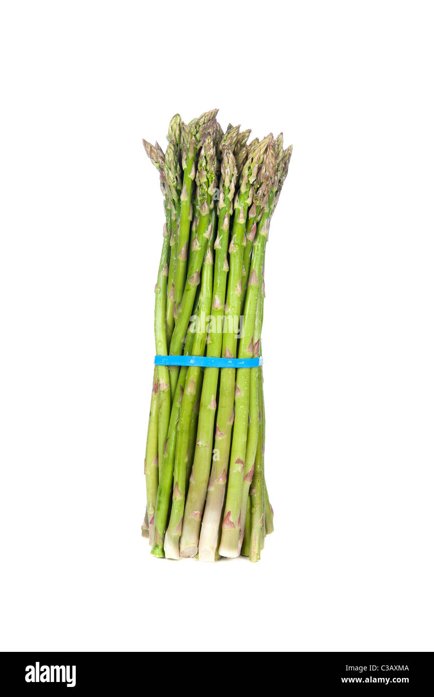 Un mazzetto di asparagi freschi culmi su sfondo bianco Foto Stock