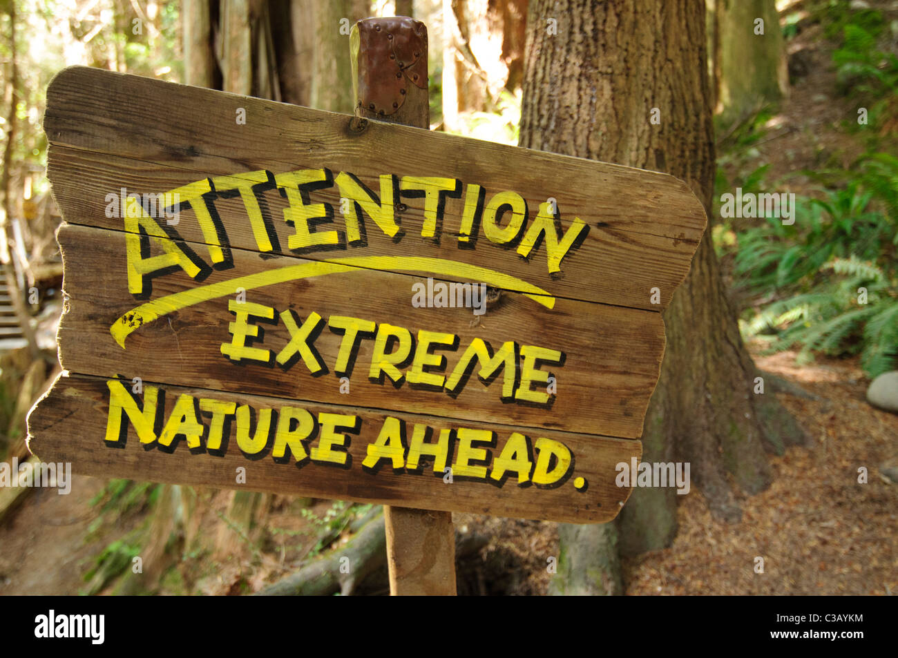 Firmare il testo con estrema attenzione la natura in anticipo Foto Stock