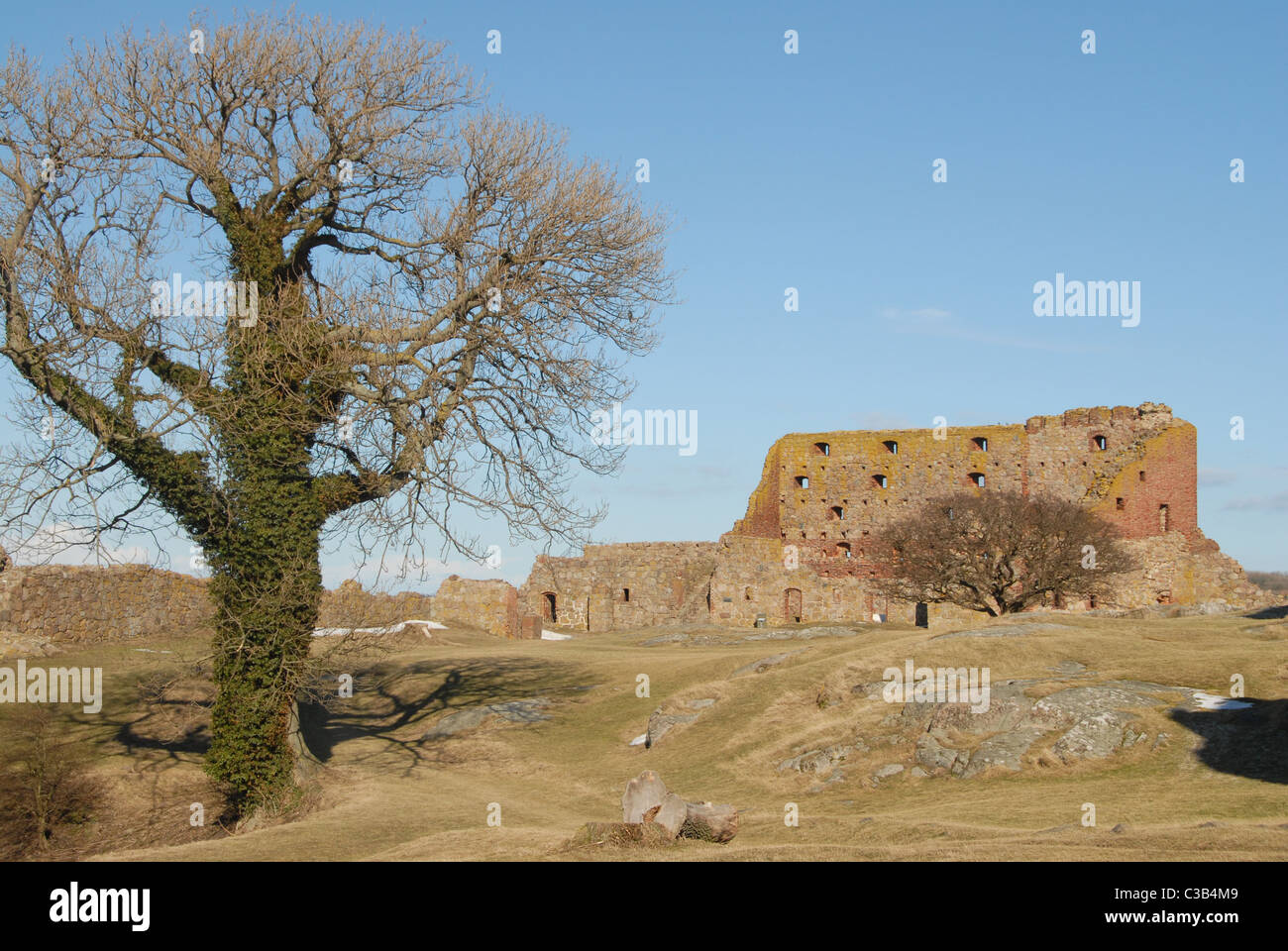 Il castello di Hammarshus su il danese del mar Baltico isola di Bornholm era presumibilmente una volta l'Europa settentrionale il più grande castello Foto Stock