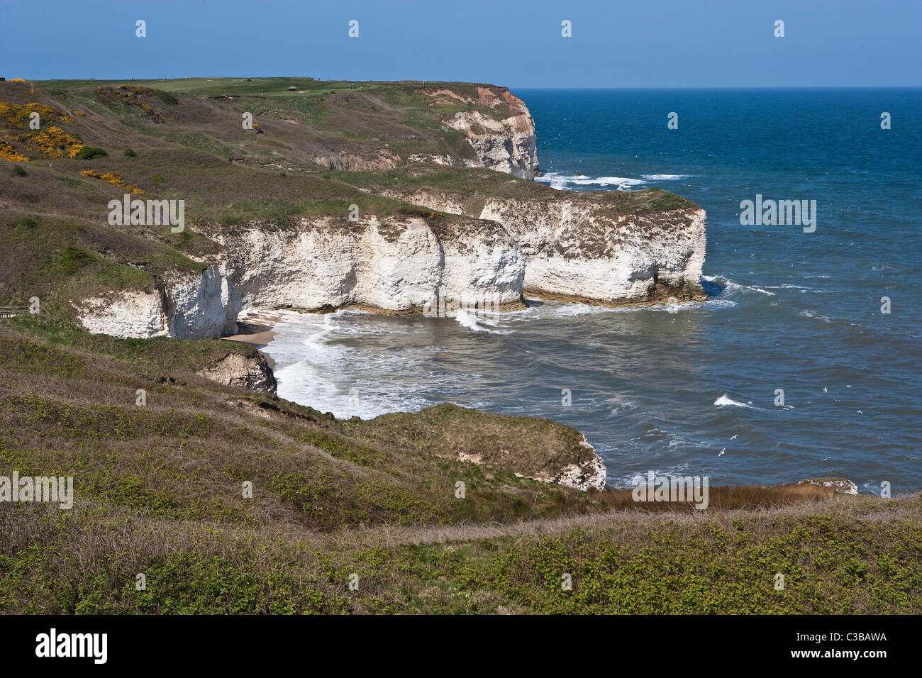 Vista di Flamborough Head sulla costa di East Yorkshire Foto Stock