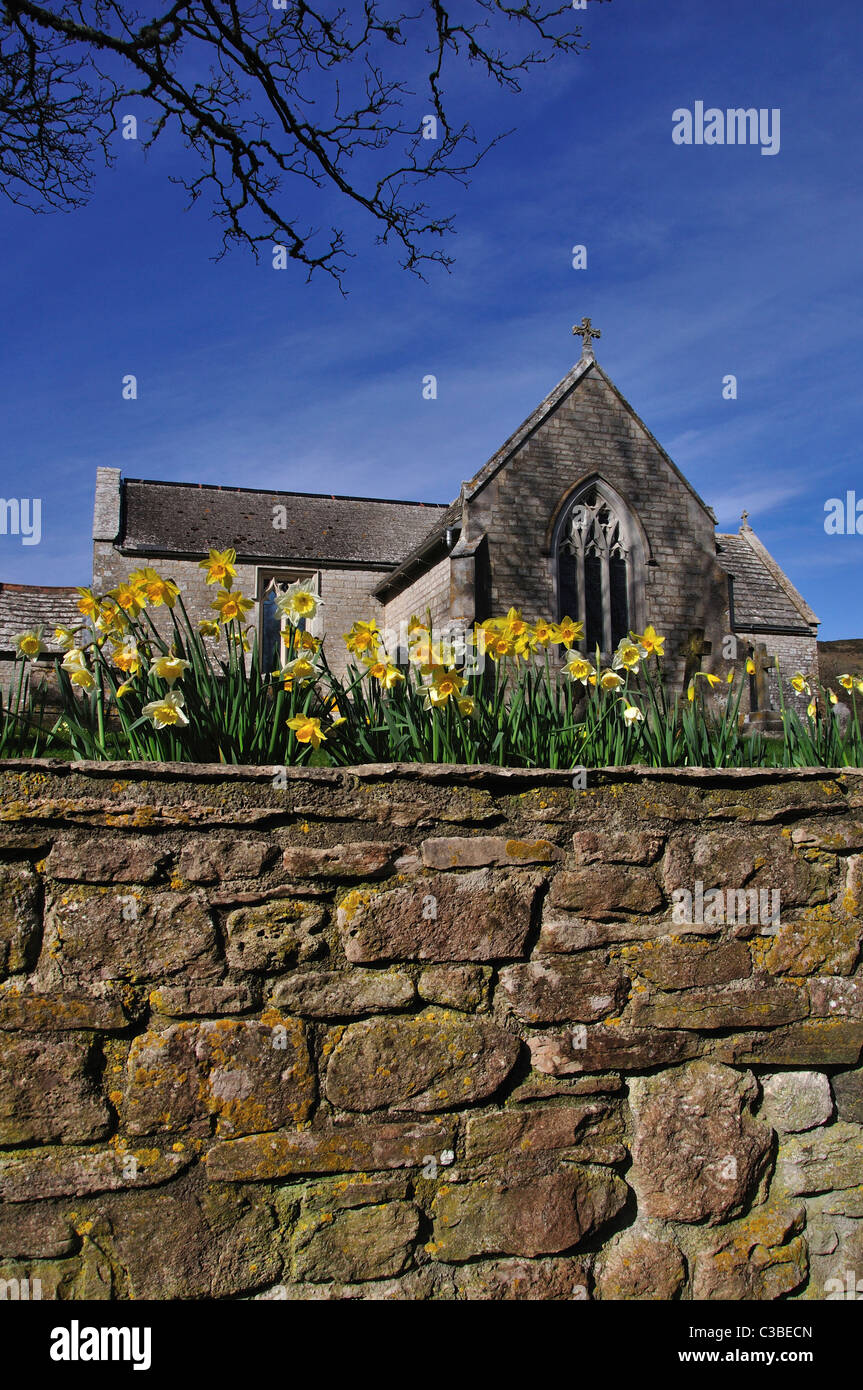 Una vista della chiesa Tyneham, con Giunchiglie in primo piano, l'Purbecks Dorset Regno Unito Foto Stock