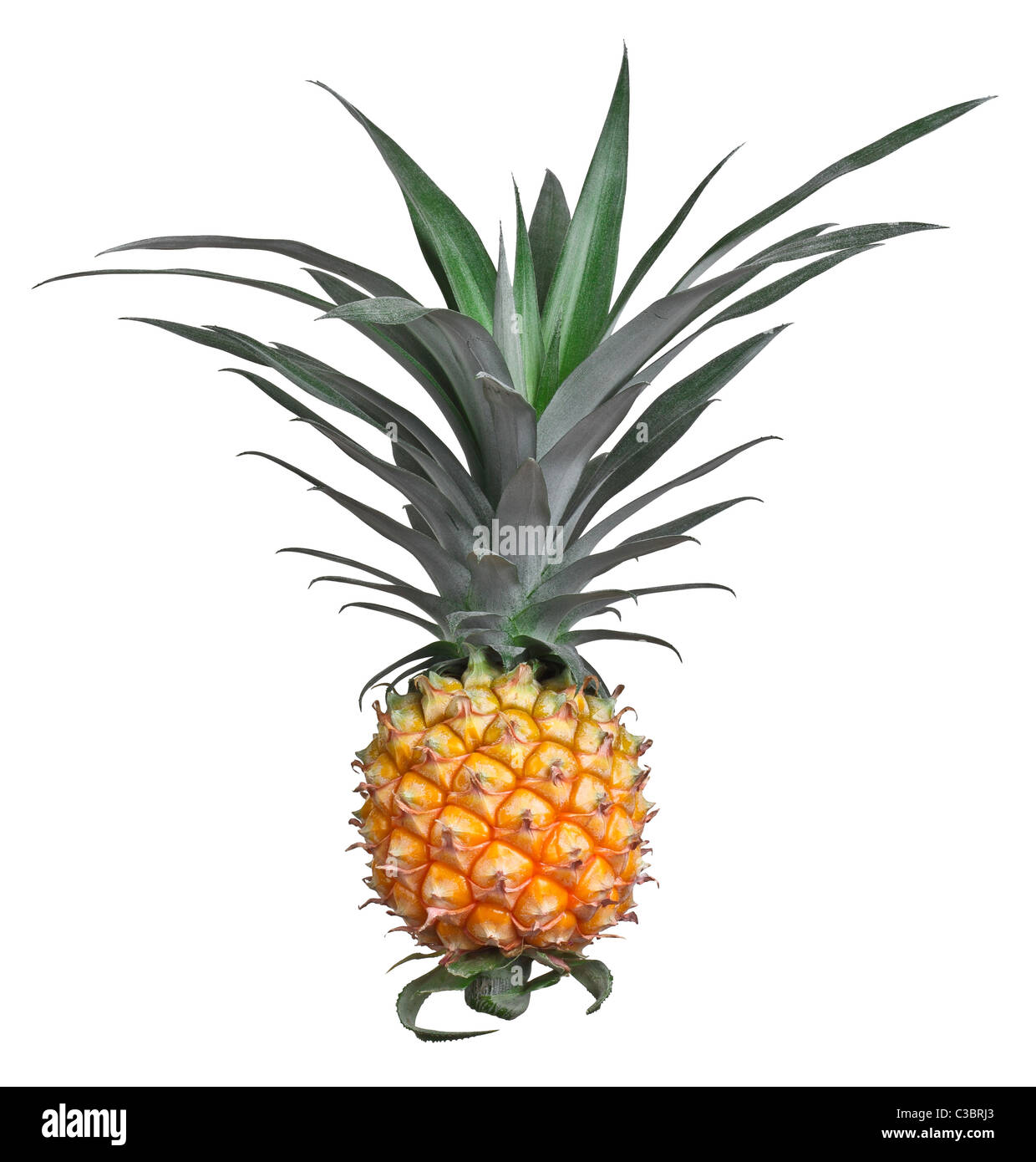 Ammenda ananas isolati su sfondo bianco Foto Stock